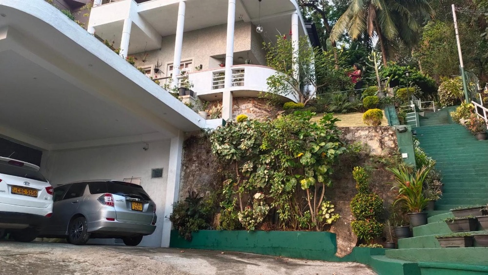 Marvel Hills Kandy Main image